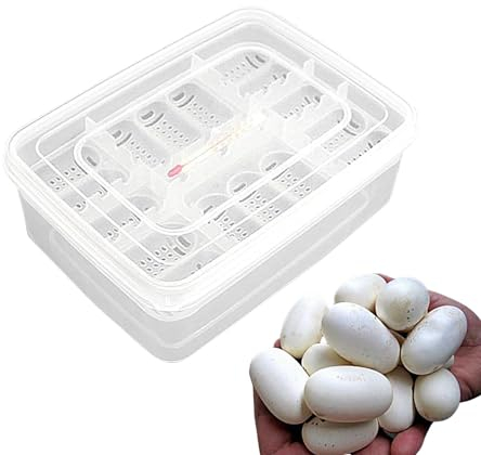 Bandeja incubadora de Huevos, de cría de Reptiles, bandejas de Huevos de incubación | 16 Rejillas Transparentes para Reptiles, incubadora de Huevos de Reptiles, Bandeja de incubación de Huevos