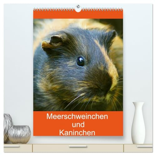 Meerschweinchen und Kaninchen Familienplaner (hochwertiger Premium Wandkalender 2026 DIN A2 hoch), Kunstdruck in Hochglanz: Die lustige Welt der Meerschweinchen und Kaninchen (CALVENDO Tiere)