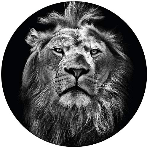 Fototapete Lion Vliestapete Schwarz-Weiß Löwe Tiere in schwarz weiß grau 140 x 140 cm rund XXL Wandtapete Wandbild 119196