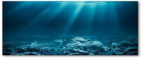 Tulup Glas-Bild Wandbild aus Glas - Wandkunst - Wandbild hinter gehärtetem Sicherheitsglas - Dekorative Wand für Küche & Wohnzimmer 125x50 - Landschaften - Unterwasserwelt - Blau