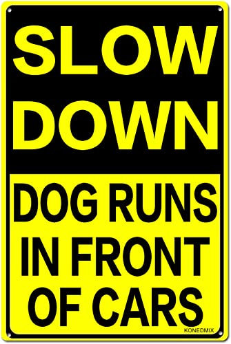 Cartello in metallo con scritta Slow Down Dog Runs In Front Of Car, segnale stradale da 20,3 x 30,5 cm, segnale di sicurezza nero e giallo, facile da montare, per uso esterno, inchiostro