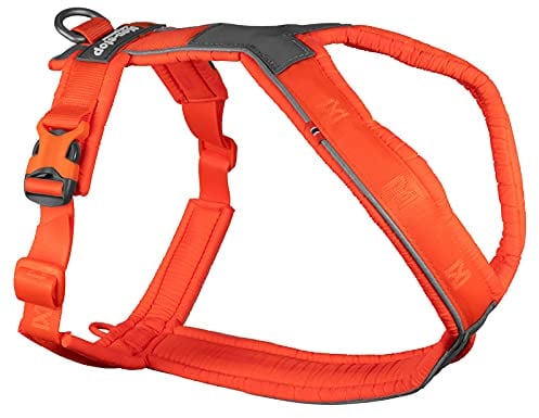 Non-stop dogwear Line Harness 5.0, Gepolstertes Hundegeschirr für kleine, mittlere und große Hunde, gemacht fürs Wandern, Sport und den aktiven Alltag, Größe 8