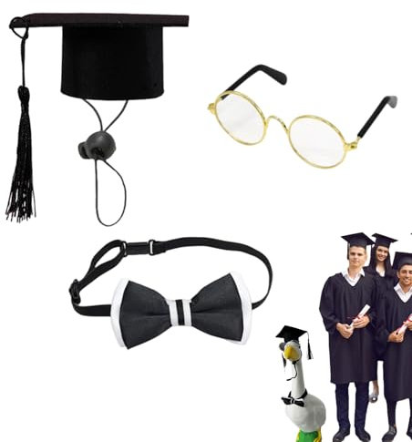 Zestivra Abbigliamento da completamento per oche da giardino | Abbigliamento esterno per figure da giardino, abbigliamento decorativo per statuette da giardino e accessori per la decorazione esterna