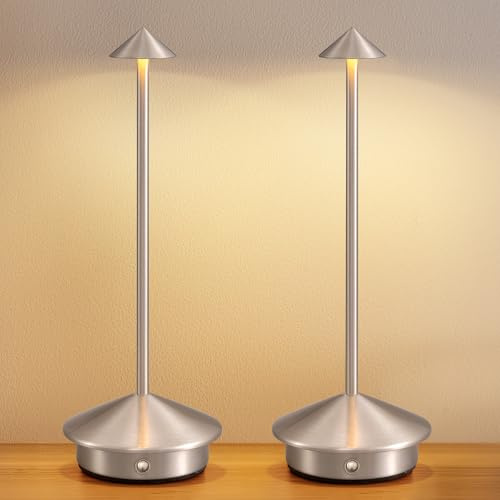 NEWSEE 2 Pack Mini Cordless Table Lamp, Portable LED Desk Lamp, 4000mAh Rechargeable Battery Powered Lighting, Stepless Dimming for Bedroom, Dining Room, Coffee Shop, Camping (Brushed Nickel)