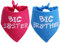 PICKUPIK Big Brother Big Sister Hundehalstuch, 2 Stück