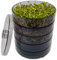 SaatPur® Keimsprossenbox Set 4 mit Vier Etagen als Sprossen Keimgerät: Sprossen Anzucht sowie Microgreens Anzuchtschalen. Keimbox, Keimschale, Keimschachtel, Sprossenbox, Sprossenhaus, Keimgerät