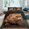 TiaoTian Bettwäsche 220x240 Chinchilla Bettbezug leicht Atmungsaktiv Mikrofaser mit verdecktem Reißverschluss 2 Kissenbezüge 80x80 Haustier Süß Bettwäsche Set Erwachsene Damen Männer