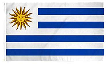 Stormflag Bandera Uruguay 3x5ft /90x150cm Bandera de Uruguay 90cmx150cm poliéster 90g, 2 ojales de metal costura doble con ojal