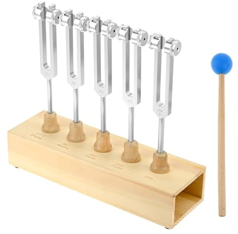 ETERMETA Brain Tuner Stimmgabel 5er Set EEG Delta Theta Alpha Beta Stimmgabeln mit Holz Voice Box (256Hz, 259Hz, 262Hz, 267Hz, 271Hz)