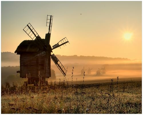 Wallario Poster - Morgendämmerung am Mühlenfeld in Premiumqualität, Größe: 40 x 50 cm