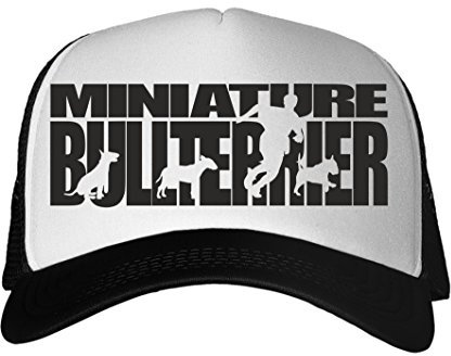 siviwonder Cap MESH - Miniature Bullterrier Bull Terrier MINI -Hundesport HS - Baumwoll Trucker schwarz
