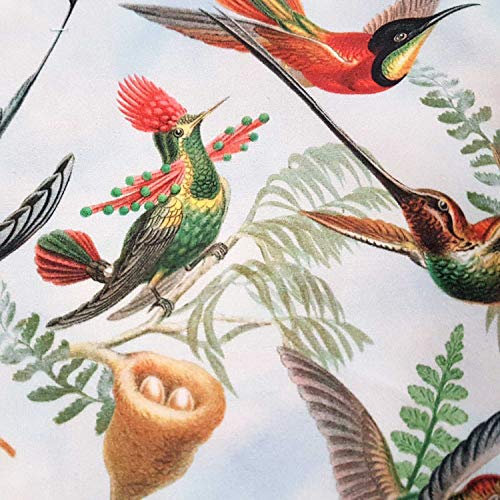 Stoff Meterware Dekosamt Velours Velvet Kolibris weiß bunt Vögel Digital stabil edel aus Frankreich