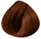 L'Oréal Professionnel Colorazione Tono su Tono 8.34: Biondo Chiaro Dorato Ramato