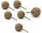 Jute-Seil Set von sechs, rund, natur Jute Schublade Griffe Dimension: 6,5 x 4 x 4 cm bhartiya Kunsthandwerk Style 2