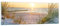 Panorama Bilder auf Glas Düne Strand Meer Glasbild 90x30cm Wandbilder Dekoration Wohnzimmer Schlafzimmer Küche Klein Wanddeko Bild im Glas Wand Kunstdruck Art Modern Wall Decor Glasdruck GAB90x30-3989