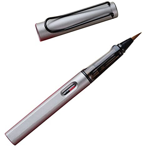 HDBD Penna per Calligrafia Penna stilografica Premium a stantuffo con Sacca di Inchiostro Rimovibile Elegante Penna per Calligrafia Ricaricabile Perfetta per i Principianti