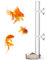 cobee Garnelen Futterschale aus Acryl,Garnelen Aquarium Garnelen Futterspender langlebig Futterstation montierte Garnelen Futterröhre Futterrohr Set für Garnelenfutter, 20 cm Rohr und 6,5 cm