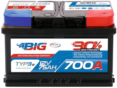 BIG +30% T-Modell (12V 75Ah 700A/EN)