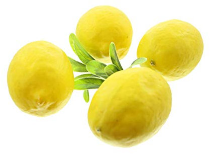 FRANK FLECHTWAREN Zitrone, im 8er Set