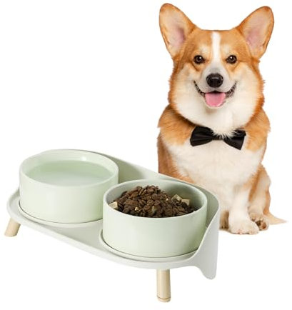 Elevated Ceramic Dog Bowl Set - Raised Double Dishes with Splash-Proof Stand - Candy Colored Food & Water Bowls for Small/Medium Dogs - 2 Cups (27 fl oz) - Green