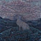 Hare'S Lament [Vinyl LP]
