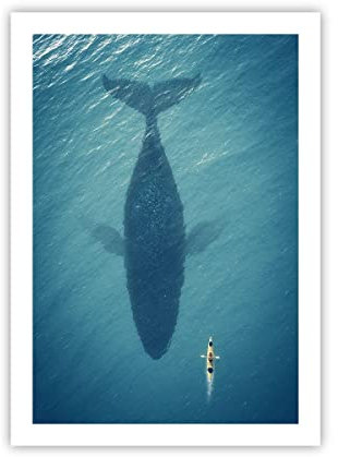 Wandposter Art Prints 50x70cm Poster ohne Rahmen Buckelwal Ozean Wal Küche Wanddeko Bild Wand Kunstdruck Deko Wandbilder Dekoration Wohnzimmer Schlafzimmer Modern Wall Art Decor - P2XPA50x70-5174