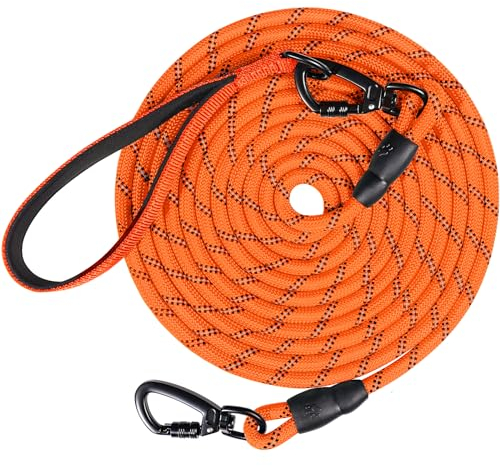 Joytale Guinzaglio Addestramento per Cani, Lunghina per Cane Cani 5 metri / 10 metri / 15metri / 20metri con Gancio Robusto e Manico Imbotita, Cani Piccola e Taglia Grande (Arancione, 5m)