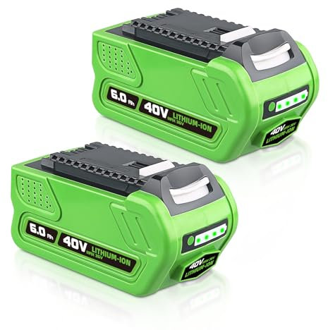 VANTTECH 2Packs 6.0Ah 29462 Akku-Ersatz für Greenworks 40V Akku MAX 22272 27062 21242 29462 29252 20202 22262 25312 20642 Kompatibel mit GreenWorks 40V Lithium Power Tools
