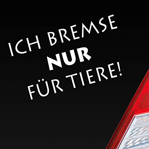 Hellweg Druckerei Ich Bremse nur Zubehör passend für Tiere Animal Fun Tier Auto Aufkleber Sticker Heckscheibenaufkleber