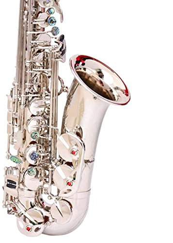 Drop E Altsaxophon-Instrument Sachs Nickel Plattiertes Silber Saxophon Anfänger Kit