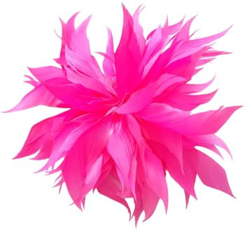 lordies Brosche Anstecknadel Blume Feder Kleidung Geburtstag Geschenk (Pink)