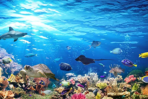Muralo Papier peint photo non tissé 368 x 254 cm - Motif océan naturel - Mer - Eau du monde sous-marin - Récipient de corail - Animaux - Salon - Chambre à coucher - XXL - 368 x 254 cm