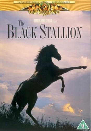 Black Stallion The [UK Import]