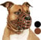 CollarDirect Pitbull Hundemaulkorb Leder Amstaff Maulkörbe Staffordshire Terrier Sicherer Korb (Braun)