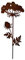 Wunderschöner & Hochwertiger Gartenstecker – Rost Blume/Blumenstecker – Große Auswahl – Edelrost Dekoblume – Metall Gartendeko (Wilde Möhre - Länge 100cm)
