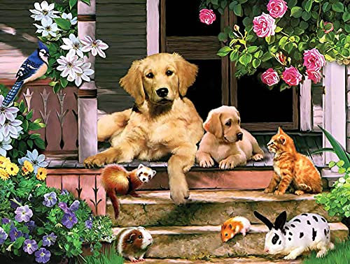 Ginfonr DIY Diamond Painting Zubehör Golden Retriever Hund und Katze Set Full, 5D Diamant Painting Hase Bilder Kit Crystal Rhinestone Embroidery Decoration Für Home Wall Décor 30x40cm
