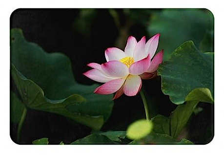 Fußmatte mit Lotusblüten-Druck, Badematte, rutschfeste Bodenmatte, weiche Badezimmerteppiche, saugfähige Badezimmerunterlage, 40 x 60 cm