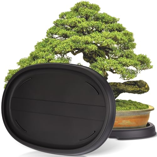 Pinkunn Bonsai-Feuchtigkeitstablett, Tropfschale, Kunststoff, Pflanzen-Wasserfänger, Untersetzer für drinnen und draußen, Kakteen, Sukkulenten, Bonsai-Baum, Stein nicht im Lieferumfang enthalten