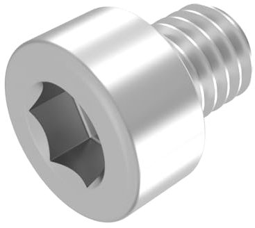 SECCARO Vite cilindrica M2,5 x 4 mm, in acciaio inox V2A VA A2, DIN 912/ISO 4762, filettatura totale, 20 pezzi