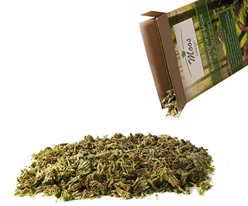 Bodengrund für Terrarien Moos Einstreu Sphagnum für Reptilien Amphibien Terrariumgrund Boden Streu (125 Gramm)