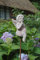 Charmanter Gartenstab, Beetstecker Engel im Antique Shabby Chic Stil