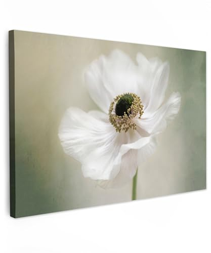 MuchoWow© Wandbilder Groß 120x80 cm XXL Wohnzimmer Wanddeko Blumen Leinwandbild Schlafzimmer Zimmerdeko Fotowand Zimmer Deko Wand Dekoration Wall Art Blumen - Natur - Anemone - Weiß