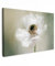 MuchoWow© Wandbilder Groß 120x80 cm XXL Wohnzimmer Wanddeko Blumen Leinwandbild Schlafzimmer Zimmerdeko Fotowand Zimmer Deko Wand Dekoration Wall Art Blumen - Natur - Anemone - Weiß