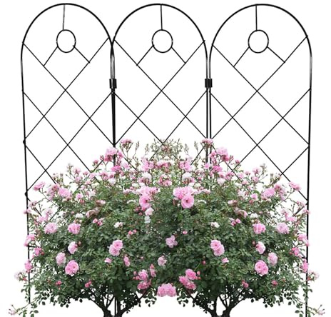 Garden Buckle, Indoor Plant Spinner, Metal Wine Rack, Wire Goods for Climbing Plants, Decorative Flowers and Grid for Home Garden, Foundation Climbing Outdoors