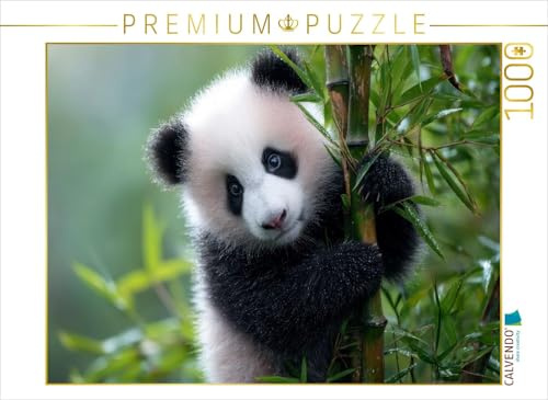 Puzzle · Bambus und Panda - Zwei, die zusammen gehören | 1000 Teile · Lege-Größe 64 × 48 cm · CALVENDO Puzzle
