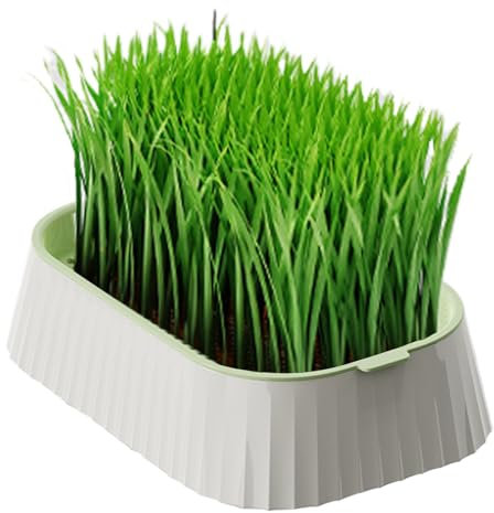 hydroponique d' à Chat - Design Anti-basculement - Maison de Plantation idéale pour Les Amateurs de Chats en intérieur