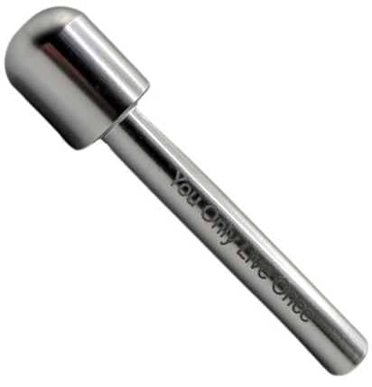 Giditrus pailles réutilisables en aluminium argenté, Grande tête paille boire shot snorter, avec inscription « You Only Live Once » Portable - Facile à nettoyer - Kit de voyage hygiénique (1)