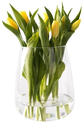 Giessle® [ Große ] Glasvase, Vase für z.B. Trockenblumen & Tulpen, Tischvase, Tulpenvase, Pampasgras, Rosen, Blumenvase rund bauchig