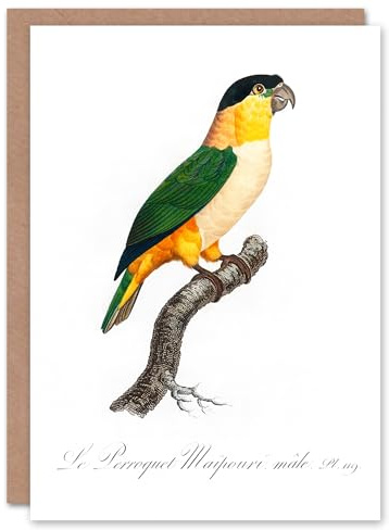 Artery8 Francois Levaillant Art Card The Black Headed Parrot