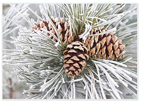 Artipics Tischsets Winterzapfen Platzsets Abwaschbar Aus Kunststoff 4 Stück
